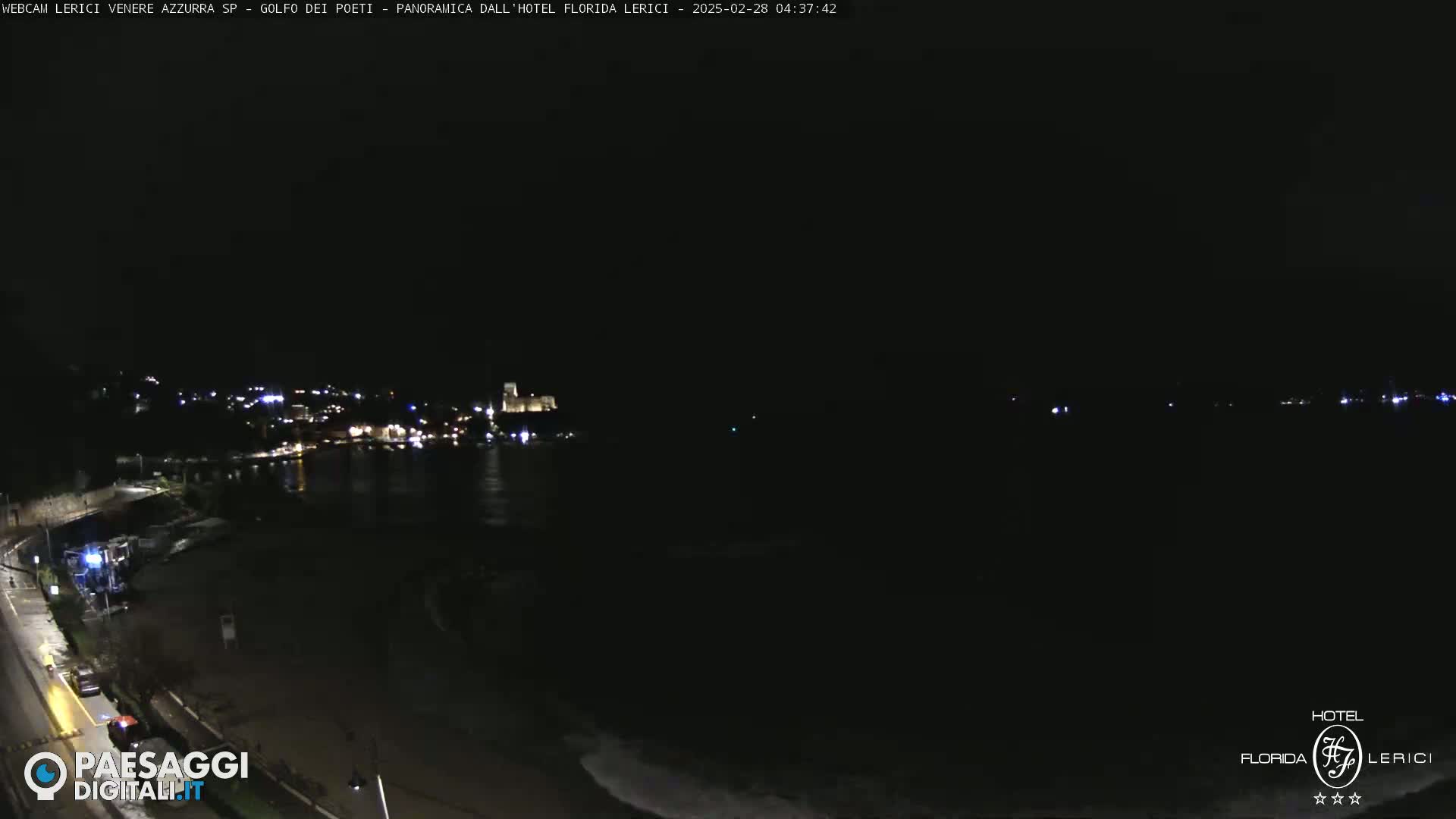 A nighttime view of a dark ocean shoreline with a dimly lit town in the distance.