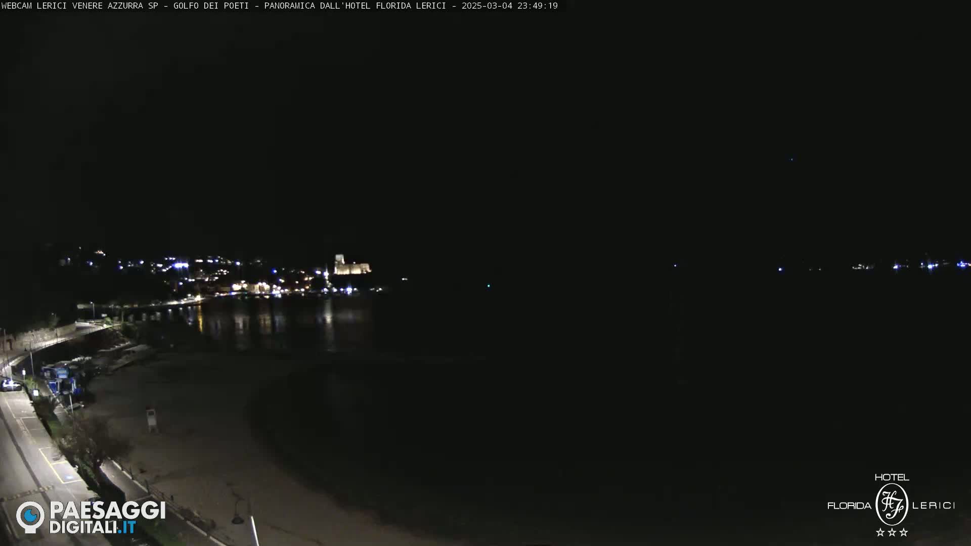 A nighttime view of a dark, calm body of water with a dimly lit town and shoreline visible in the distance.