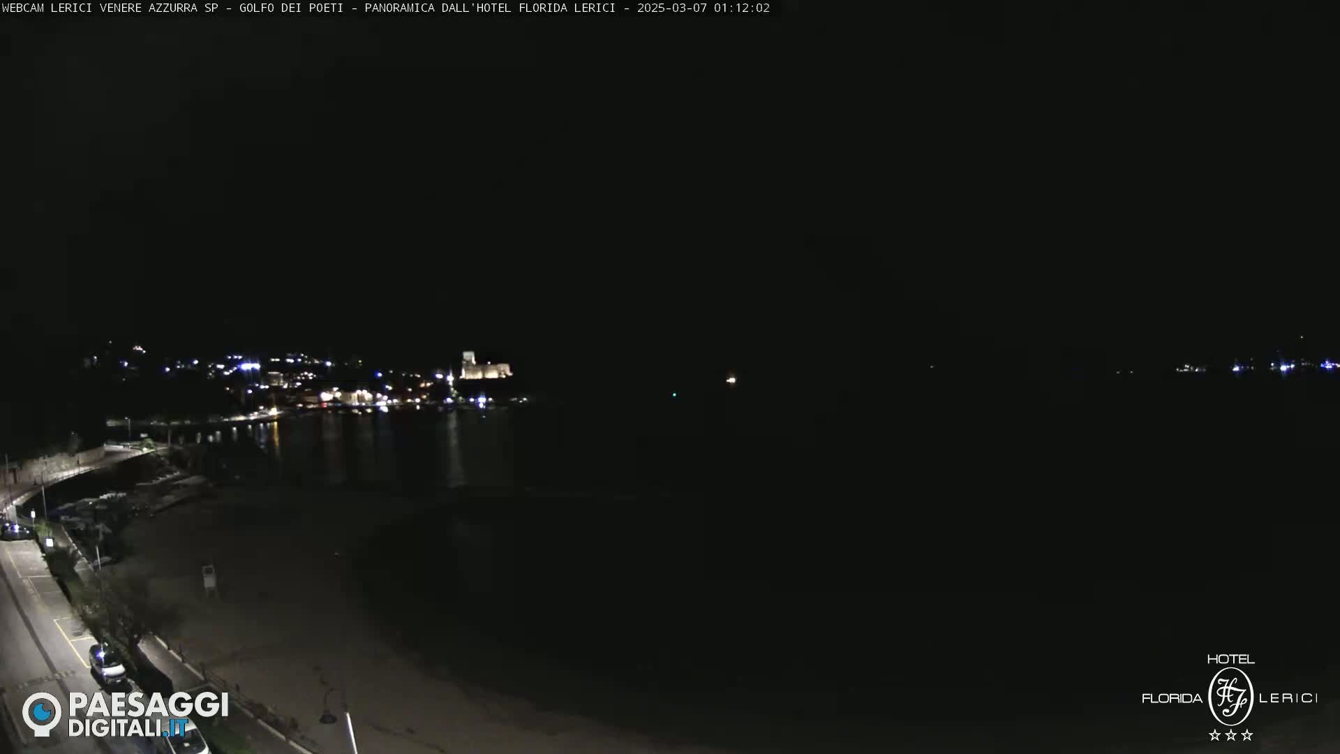 A nighttime, long shot of a dark, calm body of water with a dimly lit town across the water and a beach in the foreground.
