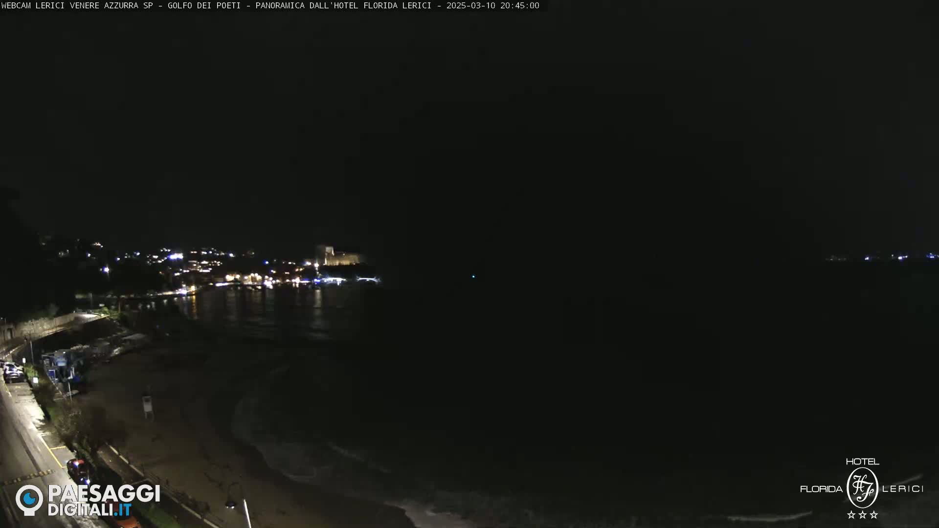 A nighttime view of a dark shoreline with a dimly lit town in the distance, gentle waves lapping at the beach.