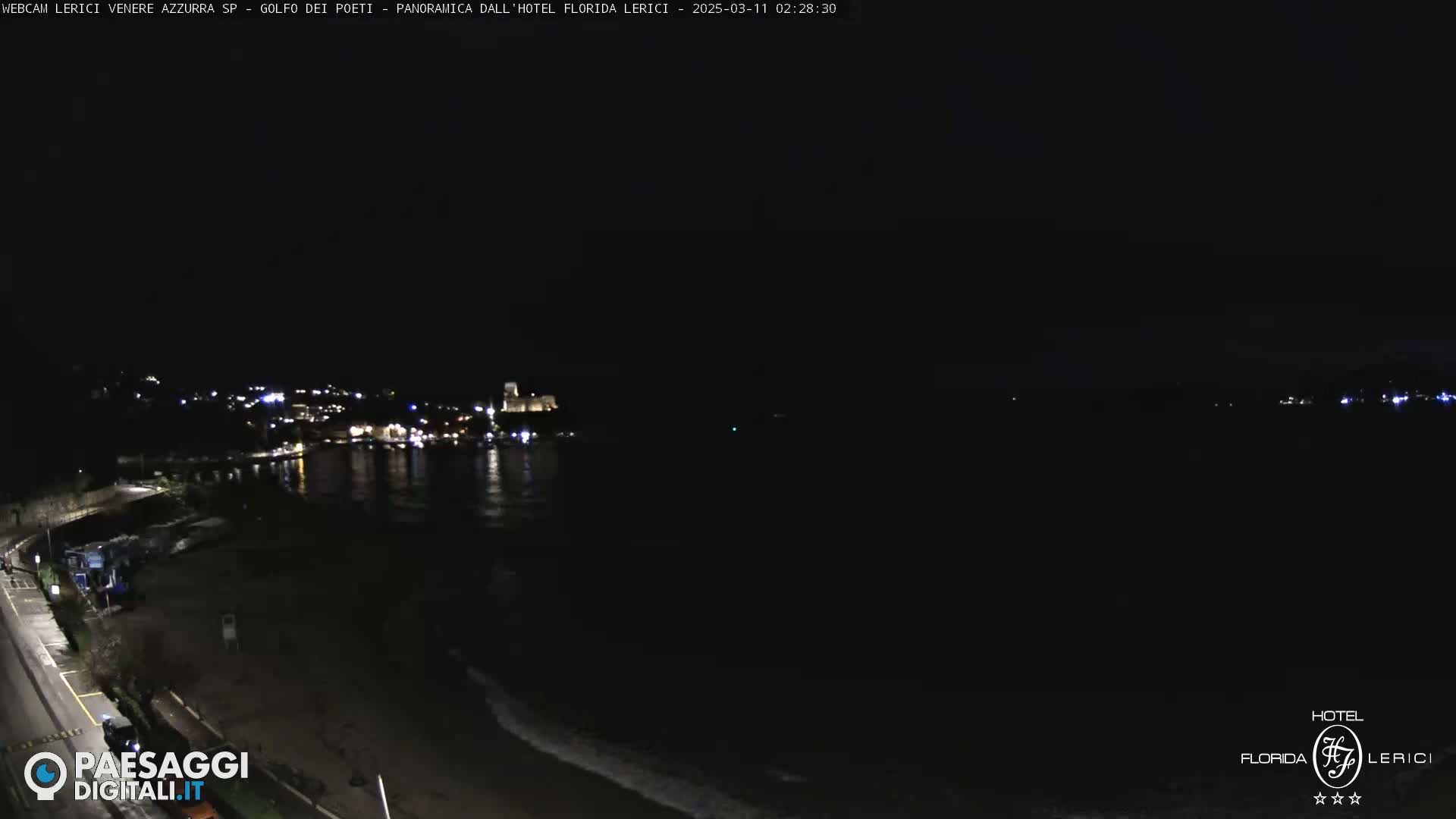 A nighttime, coastal scene shows a dark body of water with a dimly lit town on the opposite shore.