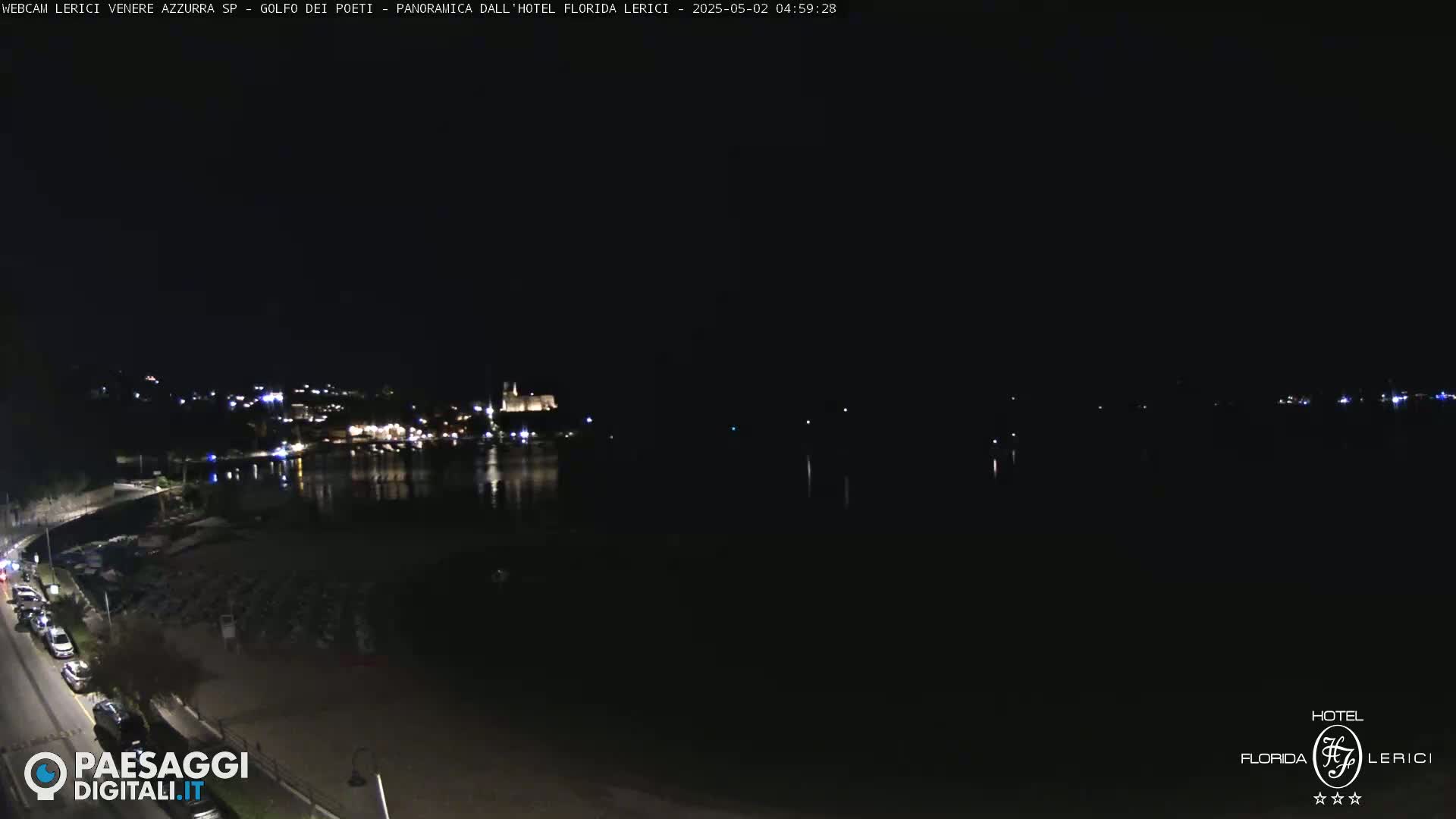 A nighttime view of a dark, calm body of water with a dimly lit town on the opposite shore.