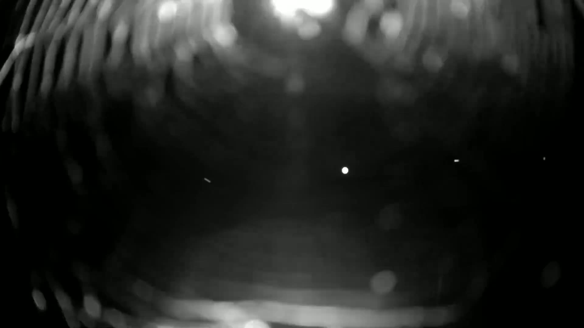 A blurry, out-of-focus nighttime image shows bright lights and small particles of light, possibly snow or rain, in the air.
