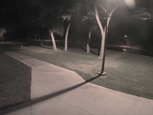 A paved pathway winds through a grassy park at night, illuminated by a lamppost, with several trees casting shadows.