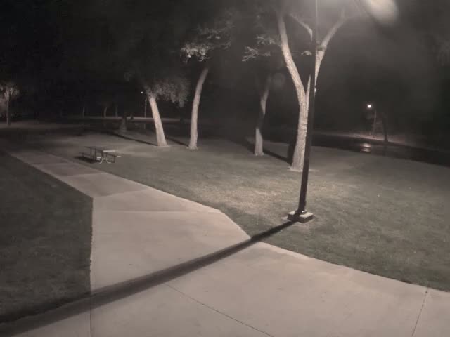 A paved walkway winds through a grassy park at night, illuminated by a lamppost, past a picnic table and several trees.