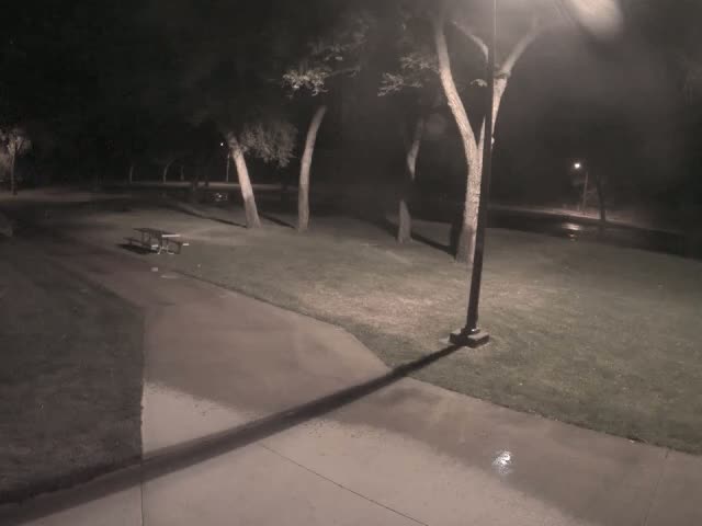 A nighttime view of a park shows a wet paved path, grassy areas, trees, and a picnic table under artificial light.