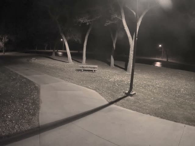A paved path winds through a park at night, illuminated by streetlights that cast long shadows over grassy areas with scattered leaves, bare trees, and picnic tables under clear conditions.