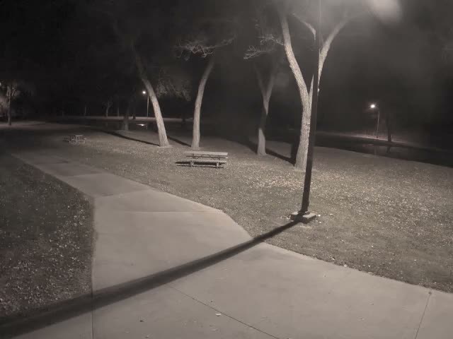 A clear night reveals a park path winding through grass covered in scattered fallen leaves, past several bare trees and two picnic benches, all dimly lit by multiple streetlights casting long shadows.