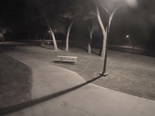 An elevated nighttime view reveals a quiet park with concrete paths, a picnic table, and several trees illuminated by distant streetlights casting long shadows under clear skies.