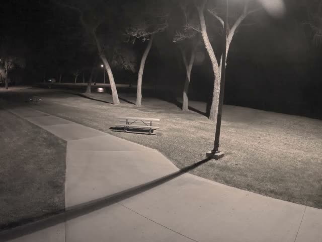 A concrete path winds through a park with snow-dusted ground and bare trees, illuminated by streetlights on a clear, cold night.