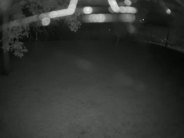 A nighttime, low-light view of a dark, empty yard with blurry lights in the background and a tree branch in the foreground.
