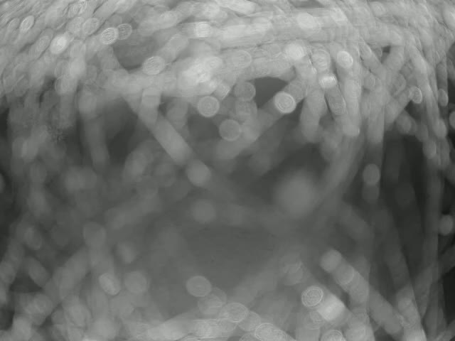 A blurry, out-of-focus grayscale image shows numerous thin, cylindrical objects densely packed together.