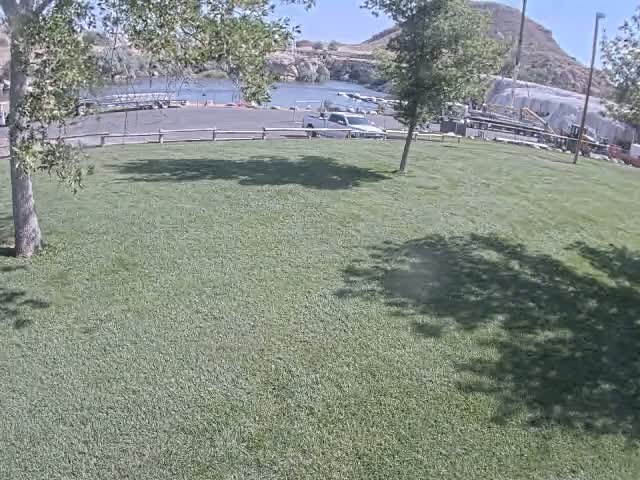 A grassy area with trees casts shadows on a sunny day overlooking a calm body of water with boats docked at a nearby shoreline.