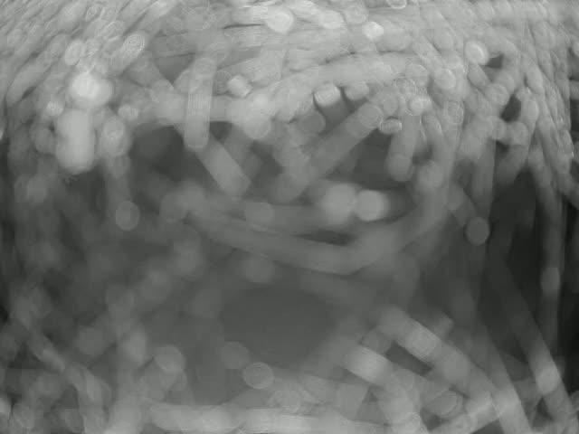 A close-up, grayscale image shows a tangled mass of long, slender ice crystals.