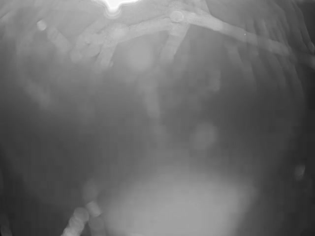 A highly blurred and abstract black and white image features indistinct elongated shapes, possibly branching or parallel, dominating the upper portion against a dark background, with scattered circular light blurs throughout.