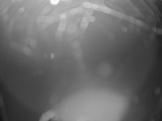 A highly blurred and abstract black and white image features indistinct elongated shapes, possibly branching or parallel, dominating the upper portion against a dark background, with scattered circular light blurs throughout.