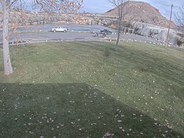 A highly blurred and abstract black and white image features indistinct elongated shapes, possibly branching or parallel, dominating the upper portion against a dark background, with scattered circular light blurs throughout.