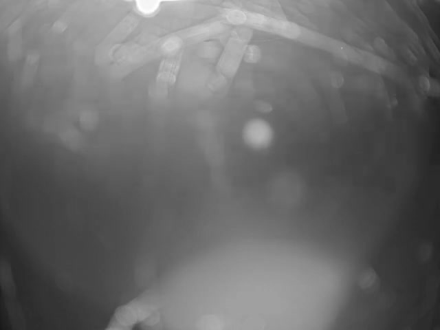 Thermopolis, Hot Springs State Park Bighorn River & Rainbow Terrace Live Cam - Thermopolis, Hot Springs, Wyoming, USA