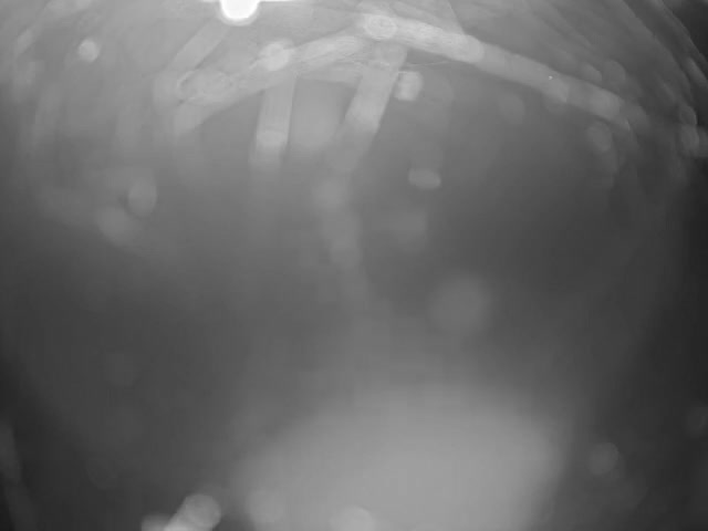 Thermopolis, Hot Springs State Park Bighorn River & Rainbow Terrace Live Cam - Thermopolis, Hot Springs, Wyoming, USA