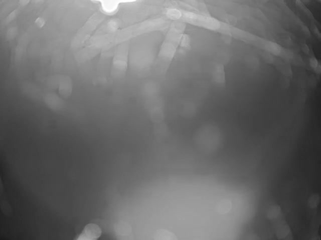 Thermopolis, Hot Springs State Park Bighorn River & Rainbow Terrace Live Cam - Thermopolis, Hot Springs, Wyoming, USA