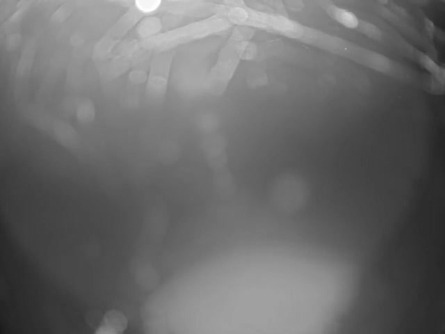 Thermopolis, Hot Springs State Park Bighorn River & Rainbow Terrace Live Cam - Thermopolis, Hot Springs, Wyoming, USA