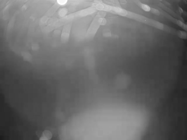 Thermopolis, Hot Springs State Park Bighorn River & Rainbow Terrace Live Cam - Thermopolis, Hot Springs, Wyoming, USA