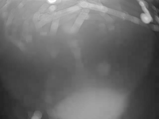 Thermopolis, Hot Springs State Park Bighorn River & Rainbow Terrace Live Cam - Thermopolis, Hot Springs, Wyoming, USA