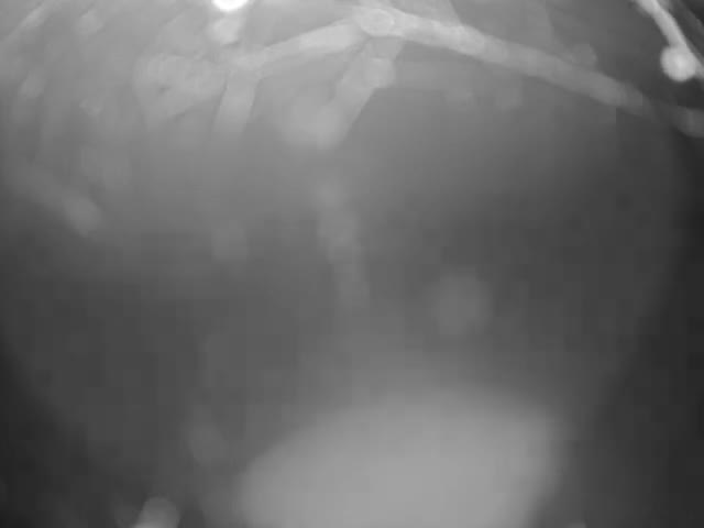 Thermopolis, Hot Springs State Park Bighorn River & Rainbow Terrace Live Cam - Thermopolis, Hot Springs, Wyoming, USA