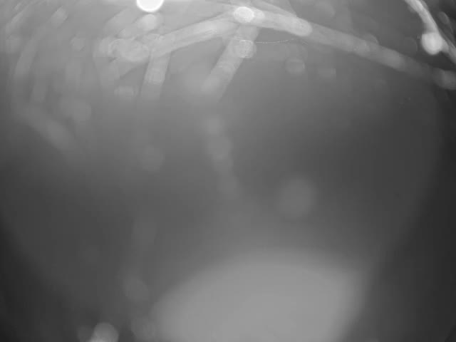 A highly blurred, black and white abstract image captures glistening strands and soft bokeh lights, likely dew-covered spiderwebs or wet foliage outdoors on a clear, dewy day.