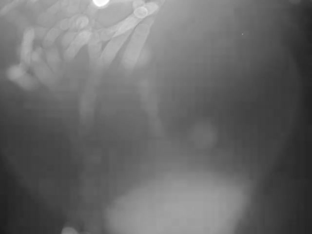 Thermopolis, Hot Springs State Park Bighorn River & Rainbow Terrace Live Cam - Thermopolis, Hot Springs, Wyoming, USA