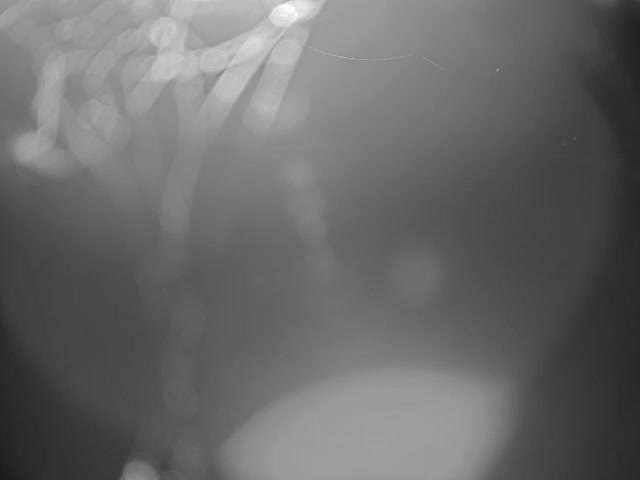 Thermopolis, Hot Springs State Park Bighorn River & Rainbow Terrace Live Cam - Thermopolis, Hot Springs, Wyoming, USA