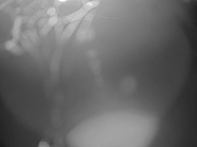 Thermopolis, Hot Springs State Park Bighorn River & Rainbow Terrace Live Cam - Thermopolis, Hot Springs, Wyoming, USA