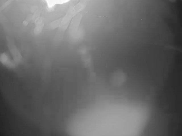 Thermopolis, Hot Springs State Park Bighorn River & Rainbow Terrace Live Cam - Thermopolis, Hot Springs, Wyoming, USA