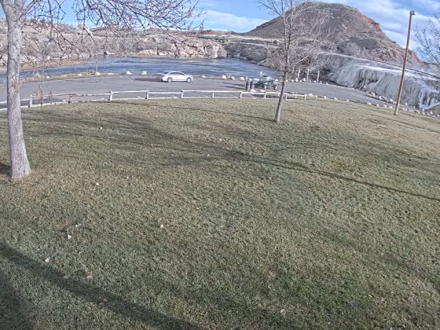 A blurry, grayscale outdoor night scene captures indistinct shapes of foliage illuminated by a bright light source at the top, with delicate lines suggestive of a spiderweb visible in the upper right.
