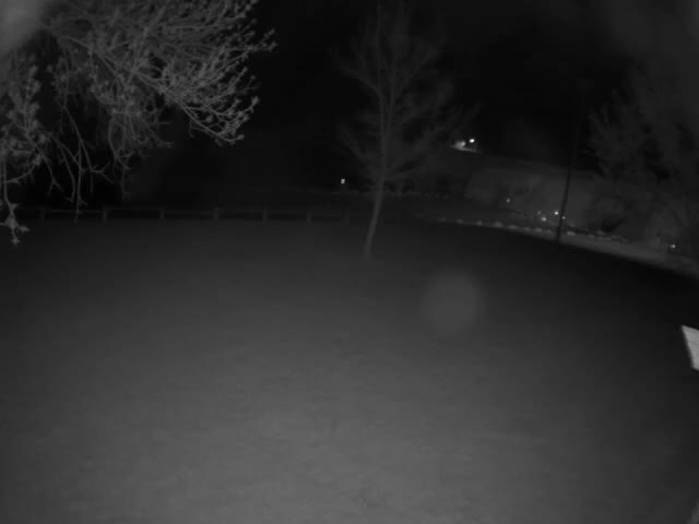 A blurry, grayscale outdoor night scene captures indistinct shapes of foliage illuminated by a bright light source at the top, with delicate lines suggestive of a spiderweb visible in the upper right.