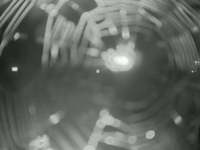A blurry grayscale image shows a series of concentric, radiating lines resembling a spiderweb or similar pattern, with a bright spot in the center.