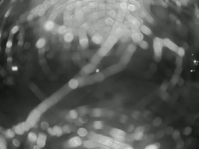 A blurry grayscale image shows out-of-focus light sources resembling strings of lights, creating a pattern of bright spots and streaks against a dark background.