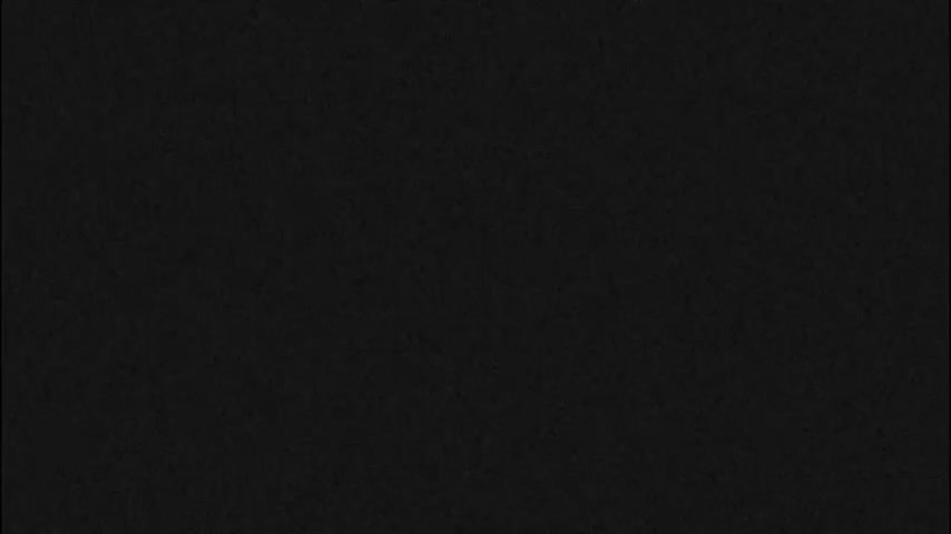 The image shows a uniform field of deep black with a subtle, fine-grained texture.