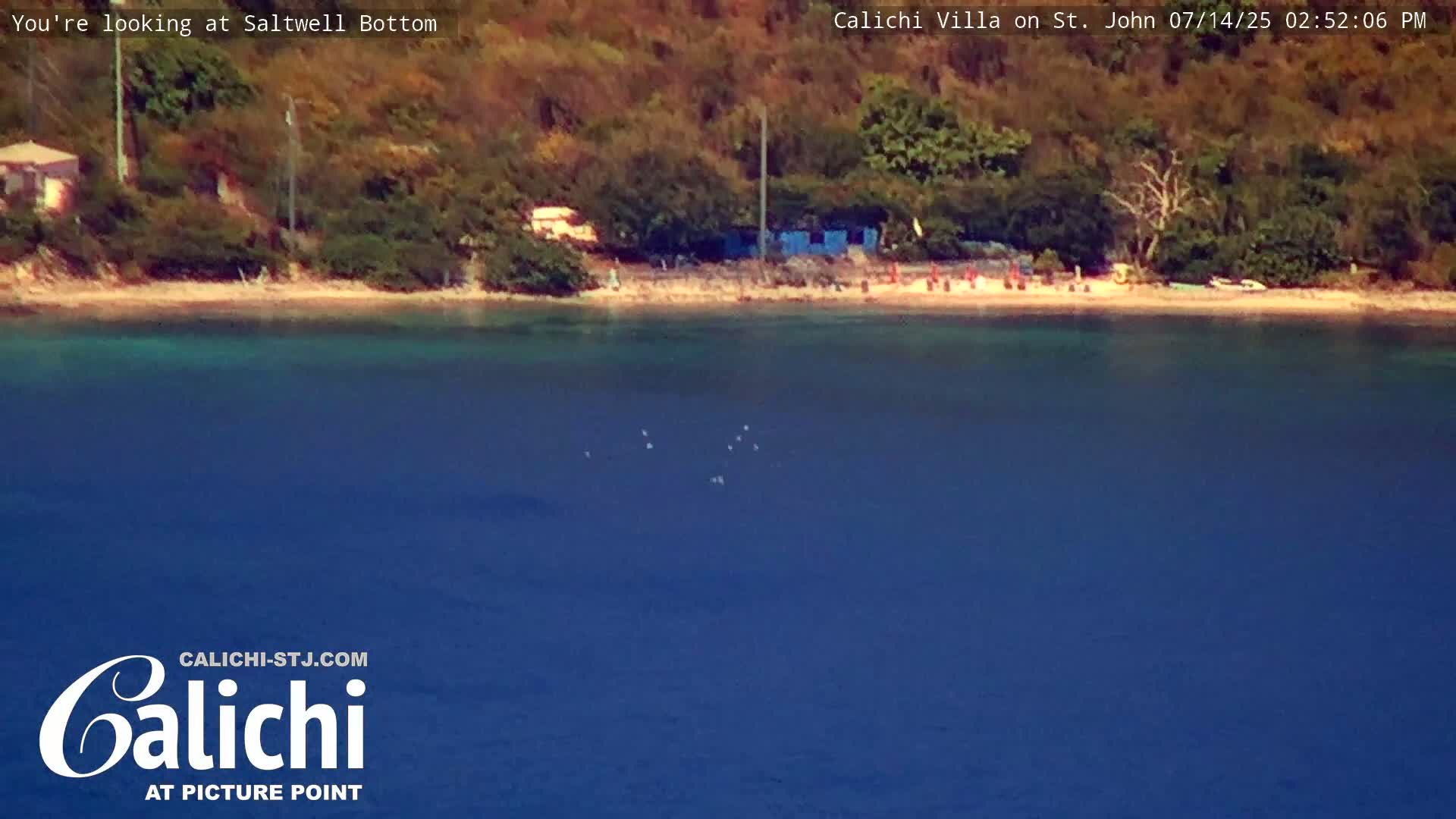 Coral Bay  St. John  & British Virgin Islands View from Calichi Picture Point Live Cam - Coral Bay, St. John,United States Virgin Islands, USA