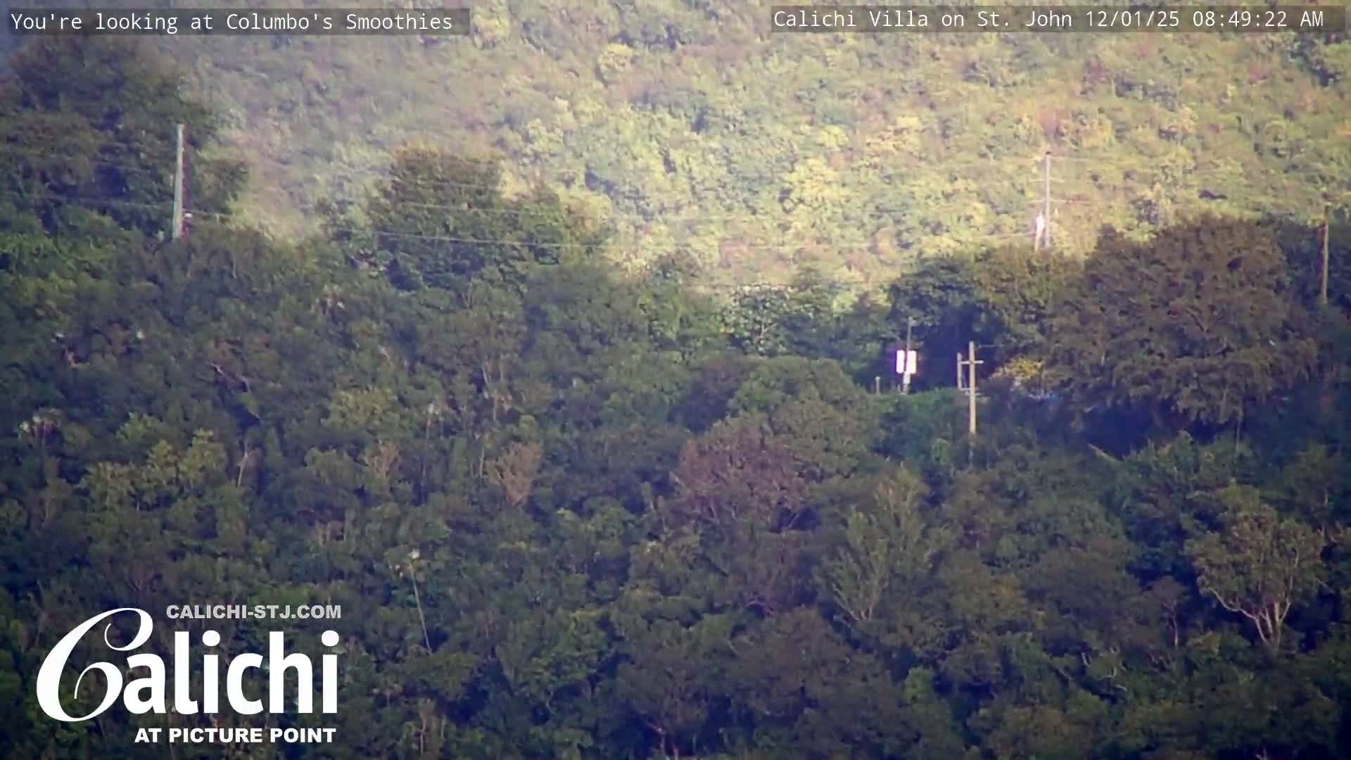 Coral Bay  St. John  & British Virgin Islands View from Calichi Picture Point Live Cam - Coral Bay, St. John,United States Virgin Islands, USA