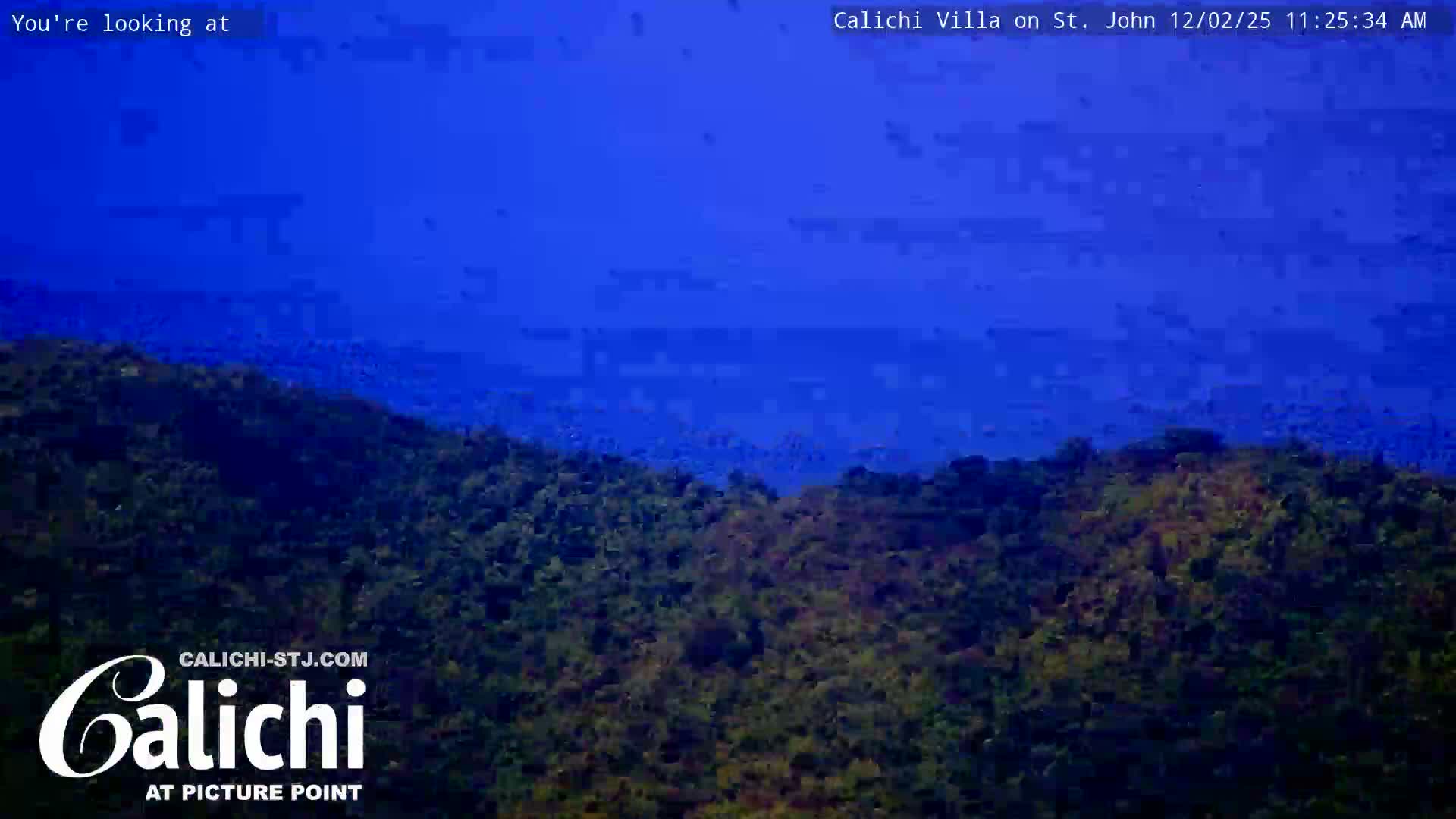 A vibrant blue sea meets a dense, dark green tropical hillside under a clear blue sky.