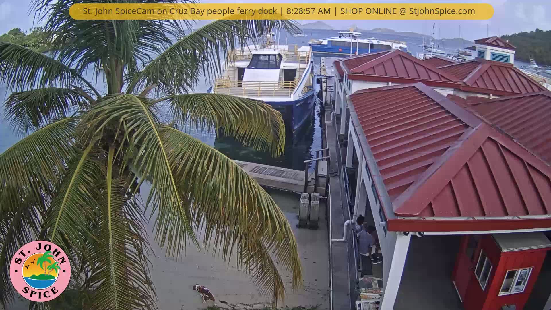 St. John Ferry Terminal from Cruz Bay Live Cam - Cruz Bay, St. John, United States Virgin Islands, USA
