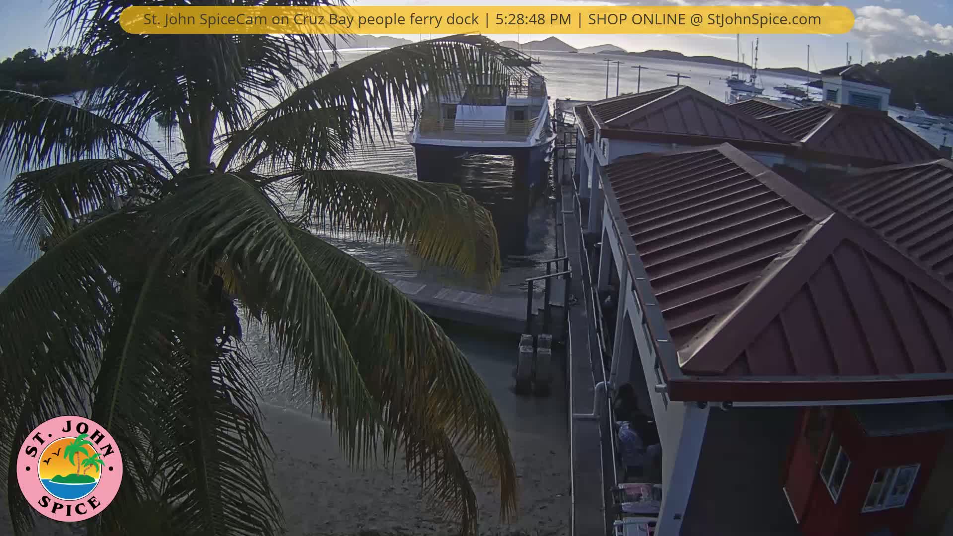A ferry is docked at a waterfront building under a partly sunny sky, with a palm tree in the foreground.