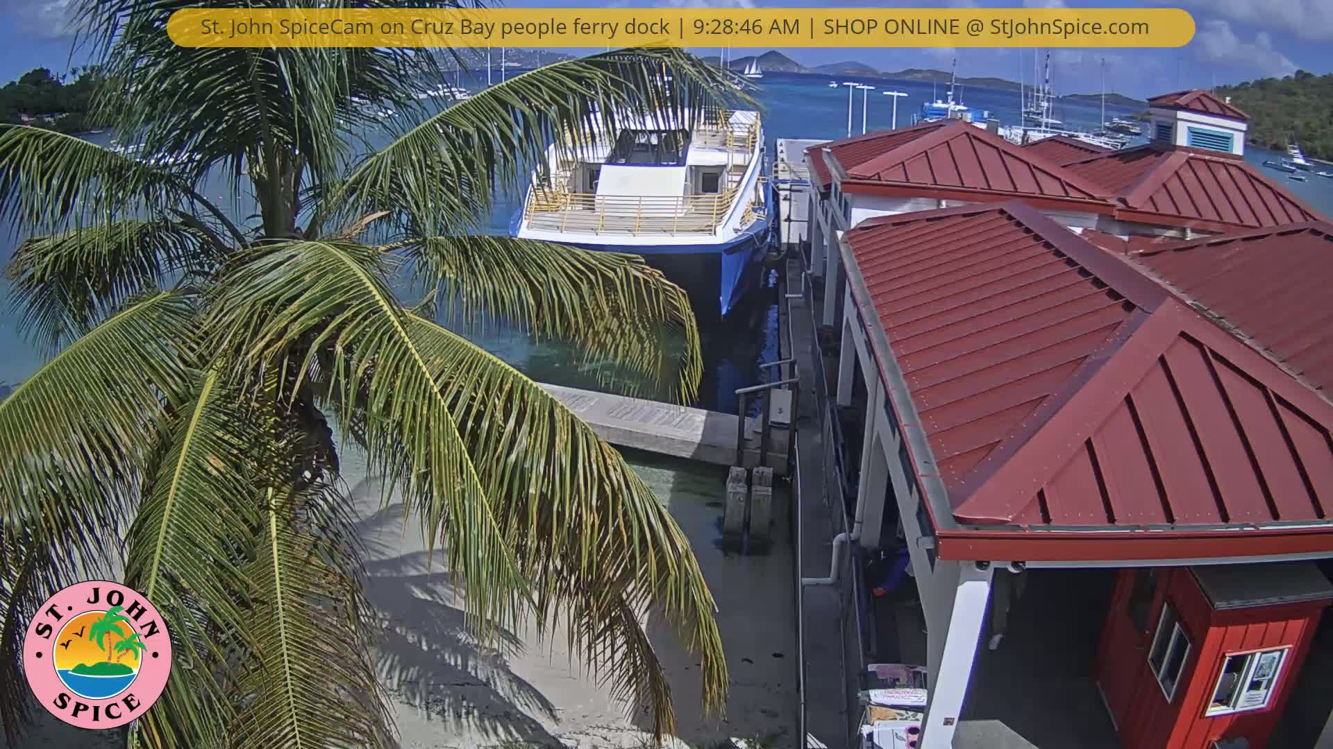 A ferry is docked at a waterfront building under a partly sunny sky, with a palm tree in the foreground.