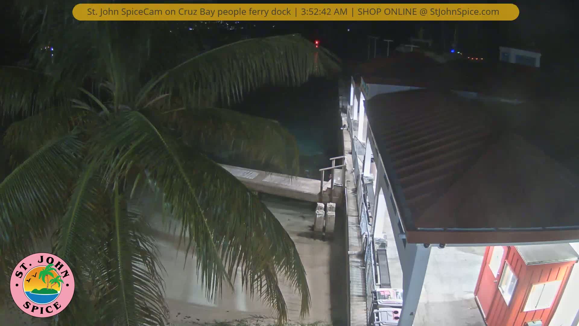 A nighttime view of a ferry dock with a palm tree in the foreground, under dark skies.
