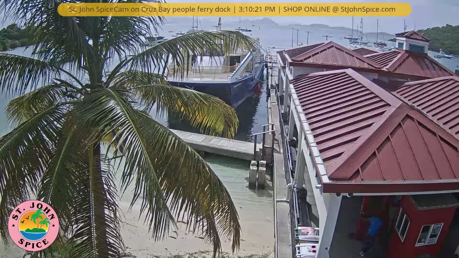 A ferry is docked at a waterfront building on a sunny day, next to a palm tree and sandy beach.