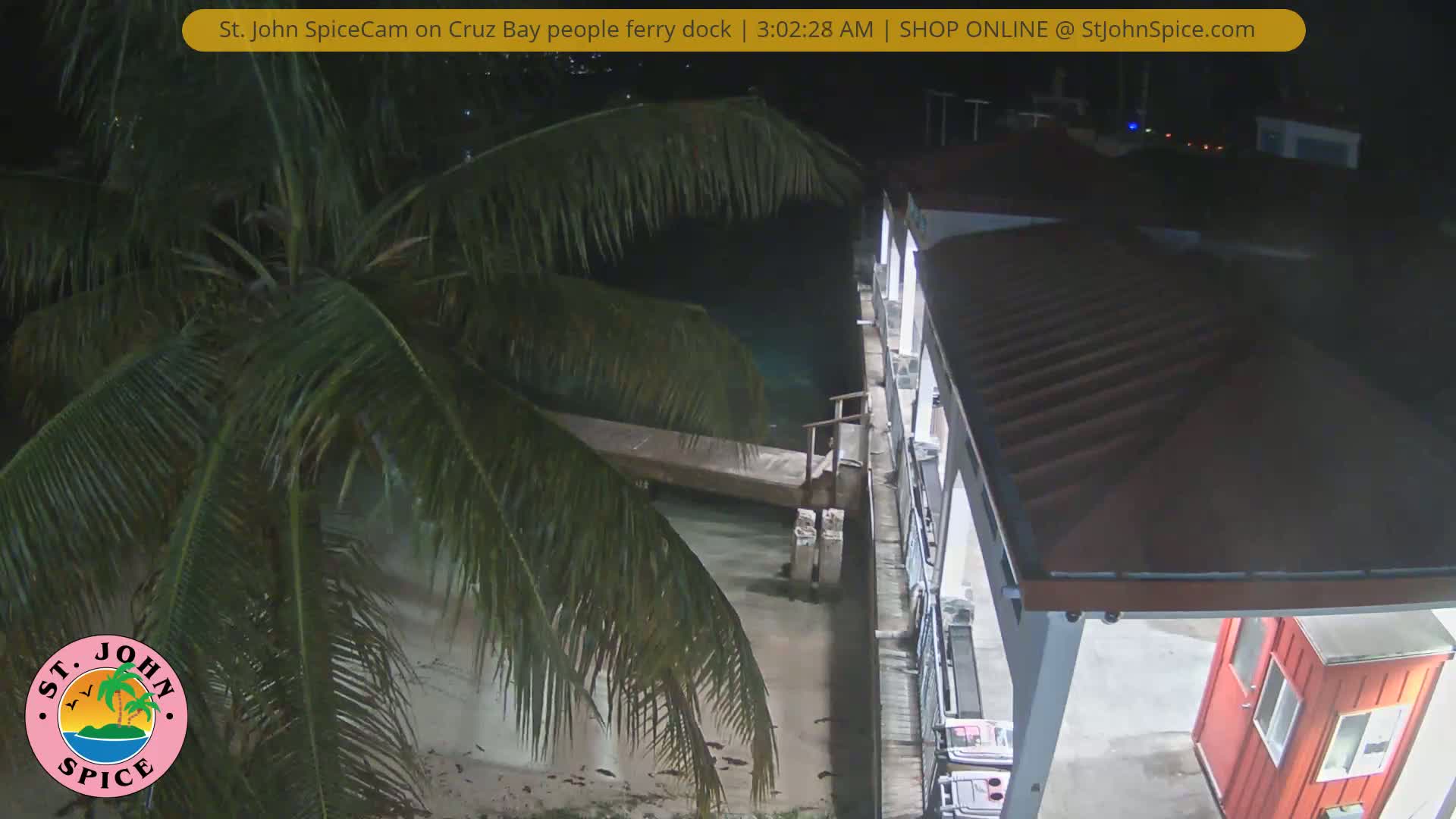 A nighttime view of a ferry dock, partially obscured by palm fronds, shows a small wooden pier extending into dark water.