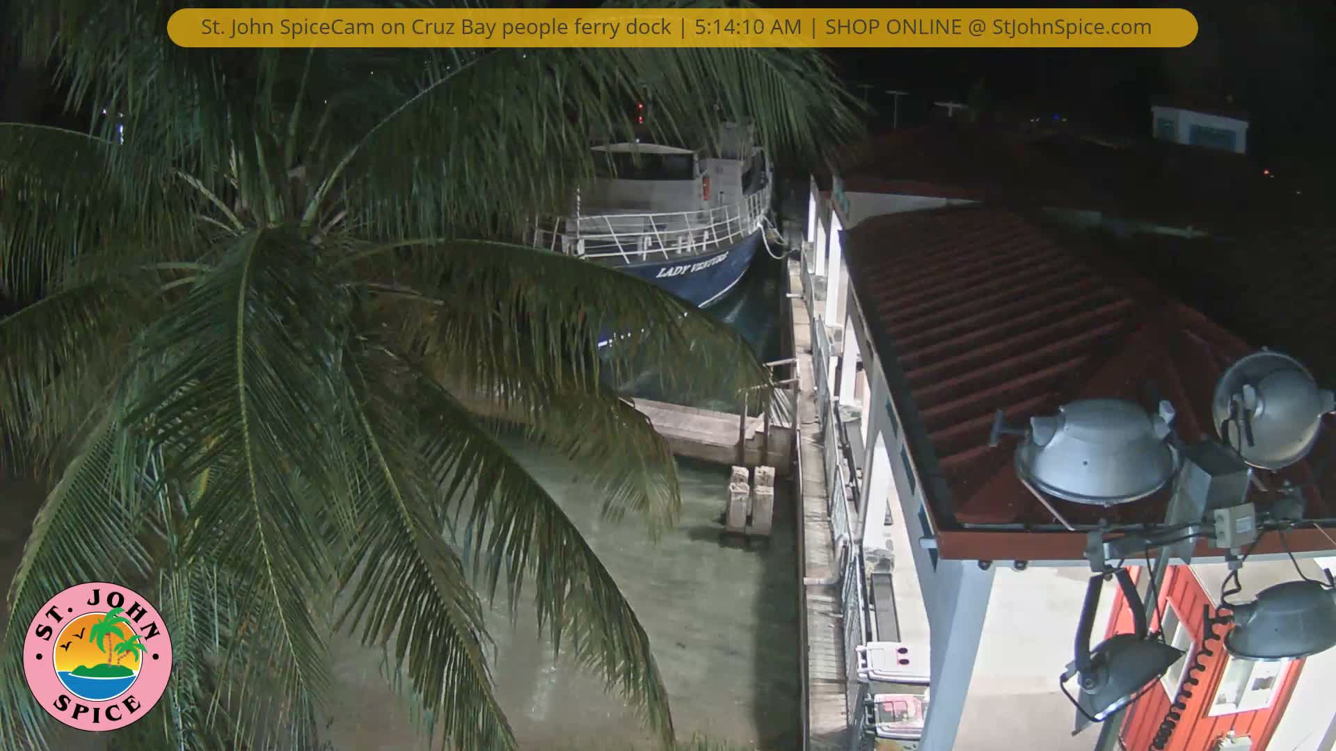 A clear night scene from above shows a ferry boat docked at a pier, flanked by lush palm fronds on the left and a building with a red roof on the right, illuminated by artificial lights.