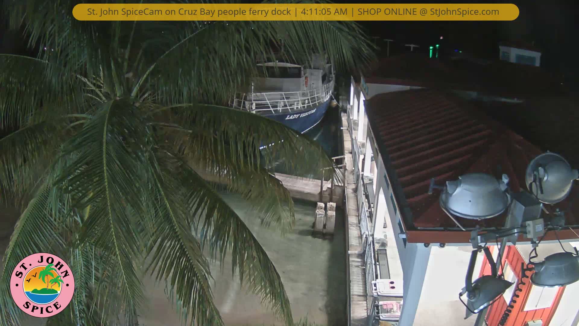 A blue and white ferry named "Lady Venture" is docked in a calm bay at night, framed by lush palm fronds on the left and illuminated buildings with red roofs and several spotlights on the right, all under clear, dark skies.
