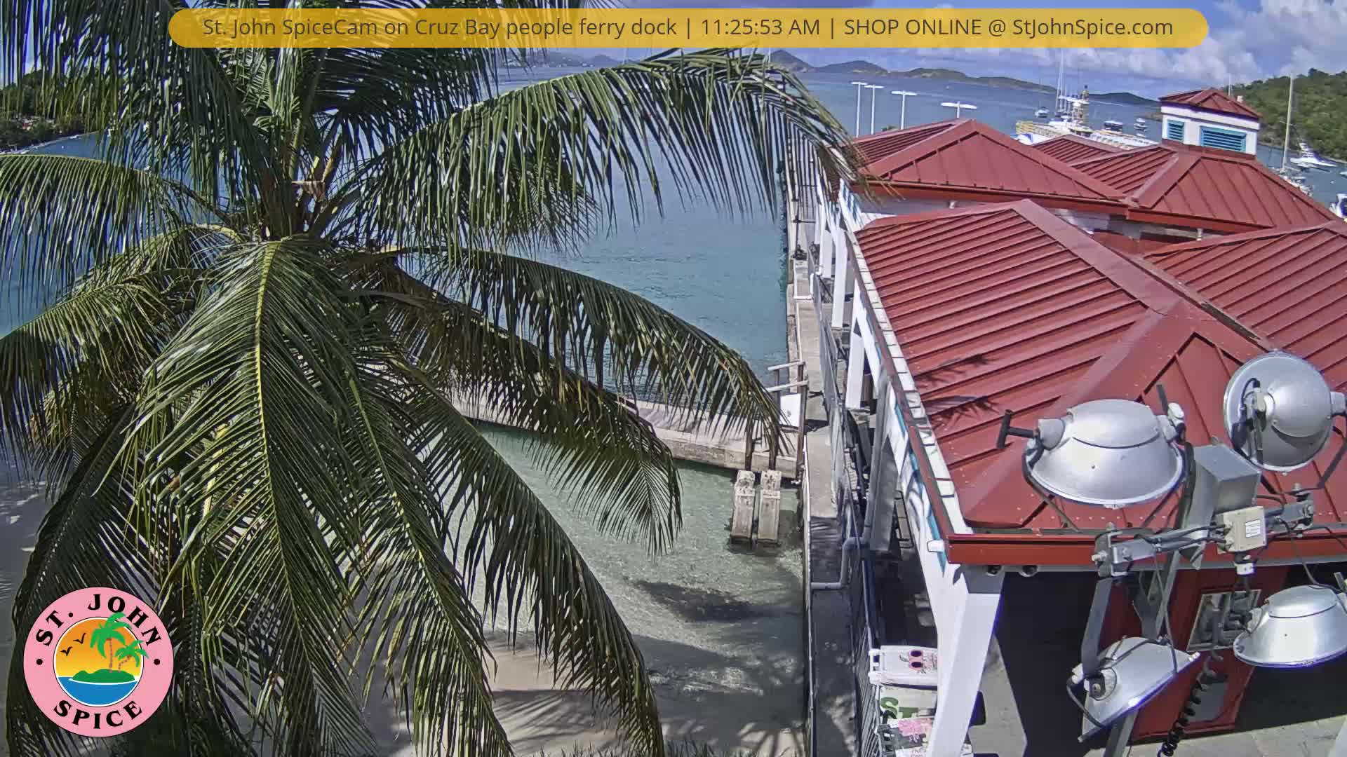 A vibrant palm tree frames a clear blue-green bay featuring a dock with white buildings and red roofs, and distant islands under a bright, sunny sky.